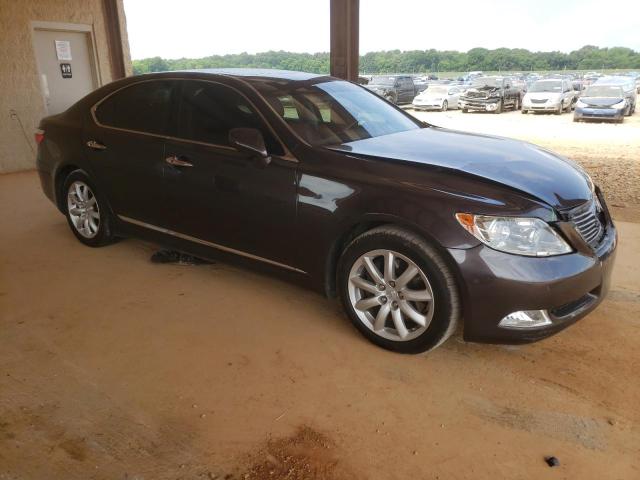 LEXUS LS 460 2008 jthbl46f485075512