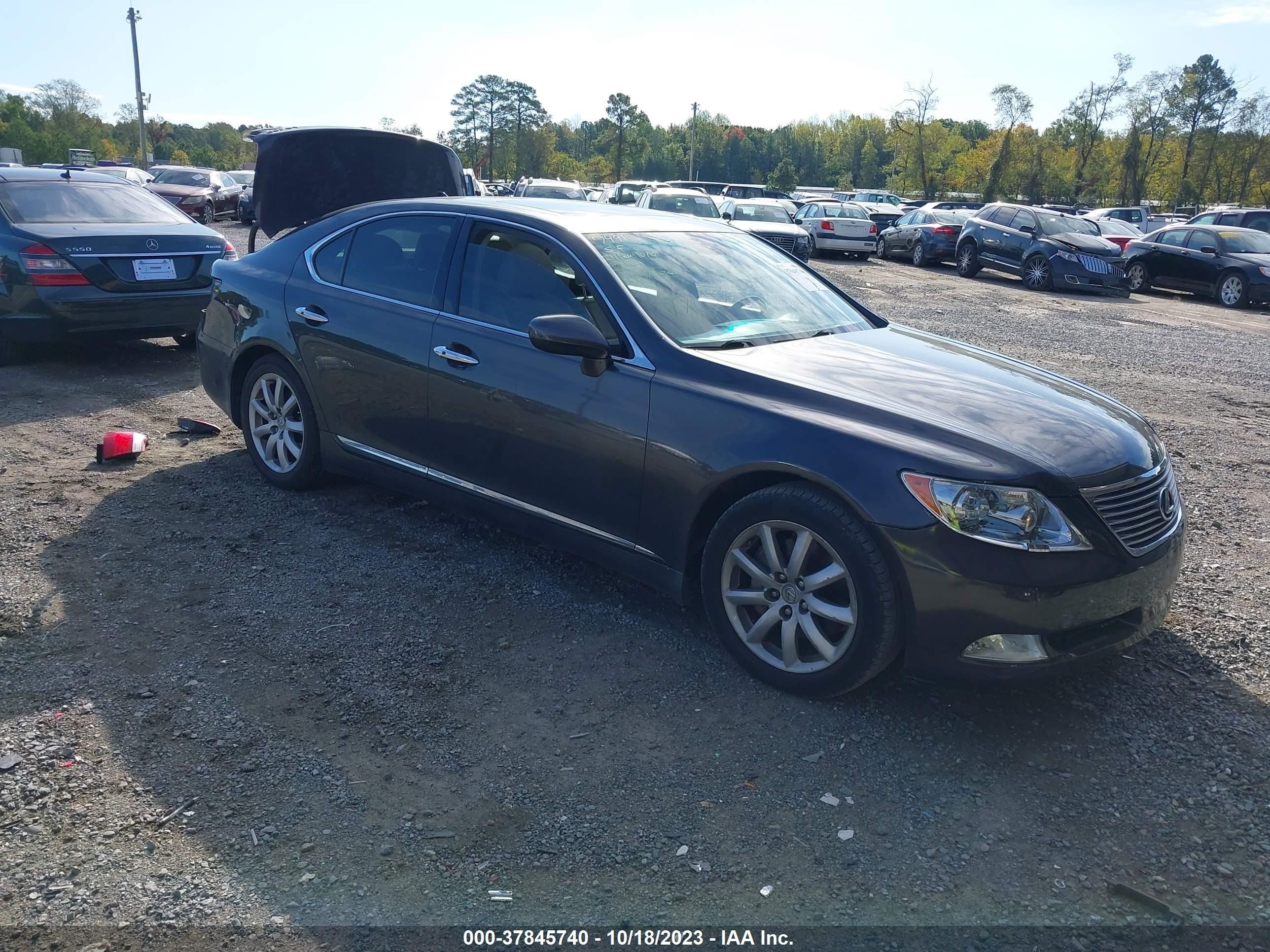 LEXUS LS 2008 jthbl46f585070450