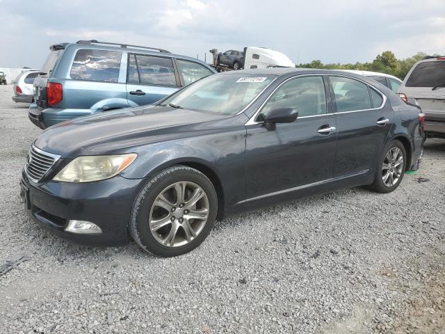 LEXUS LS 460 2007 jthbl46f875038364