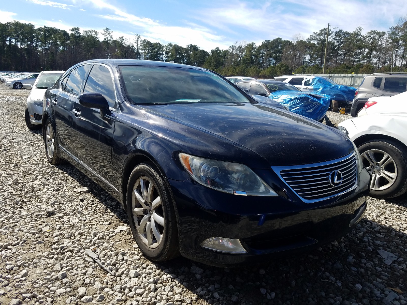 LEXUS LS 460 2008 jthbl46f885065565