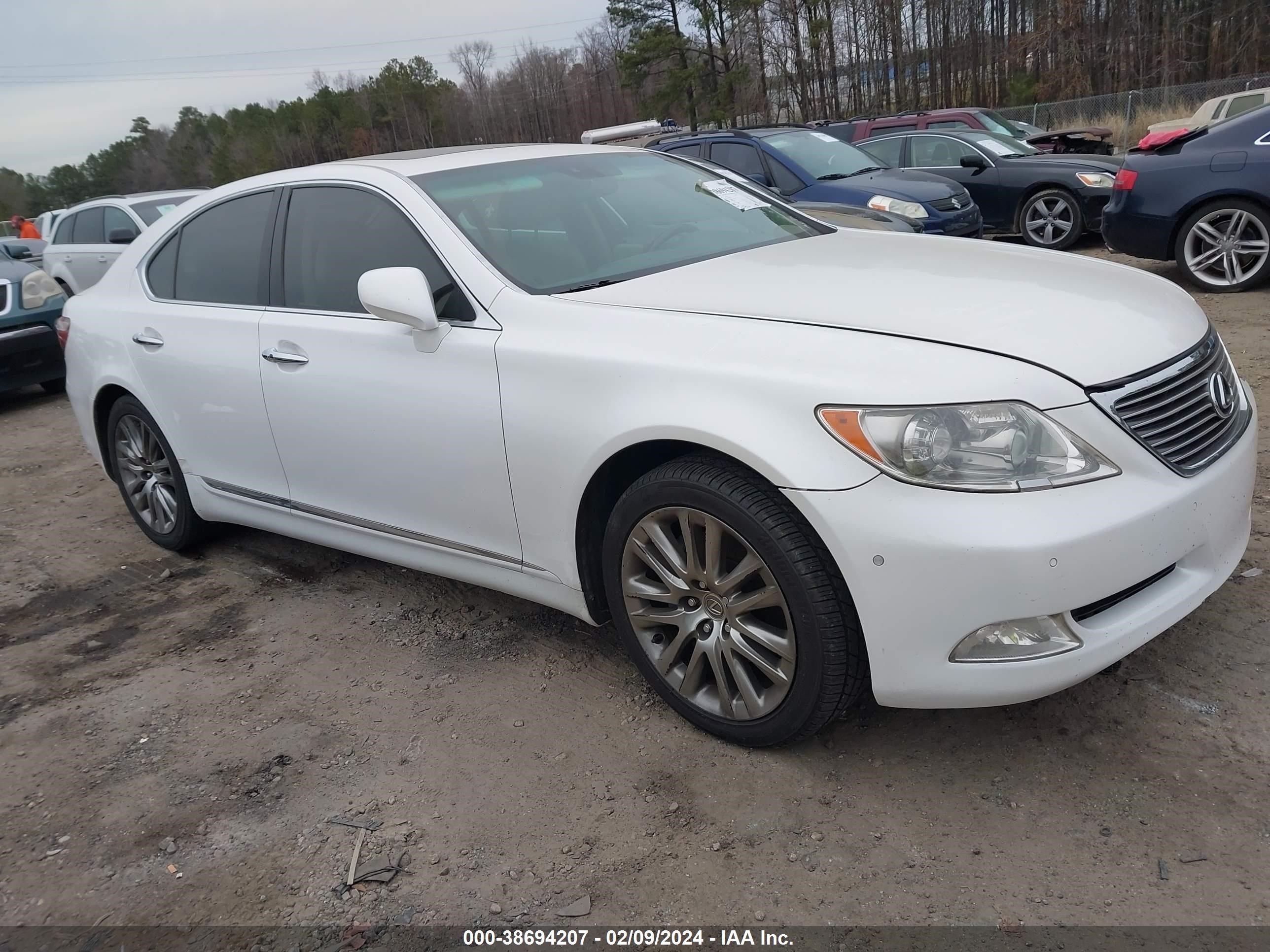 LEXUS LS 2009 jthbl46f895085624