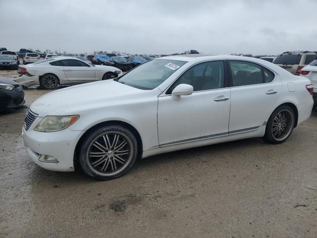 LEXUS LS460 2007 jthbl46f975048935