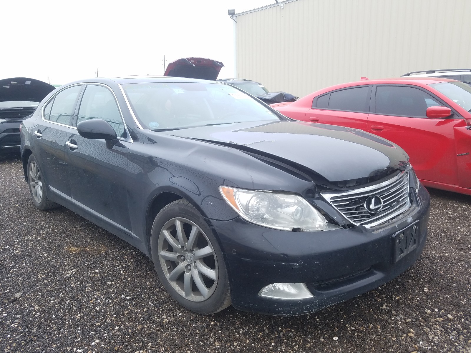 LEXUS LS 460 2008 jthbl46f985056499