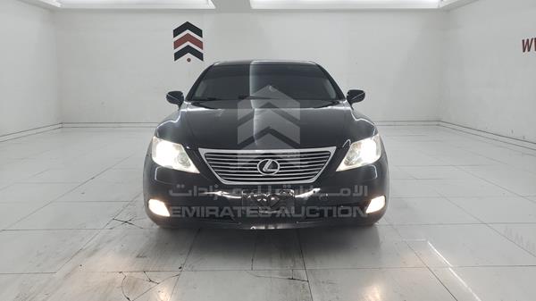 LEXUS LS 460 2008 jthbl46f985081175