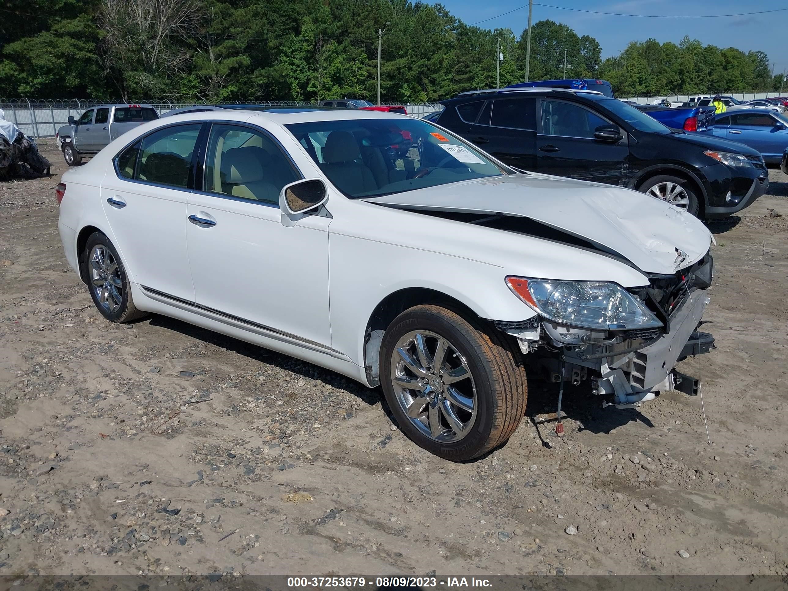 LEXUS LS 2009 jthbl46f995090430