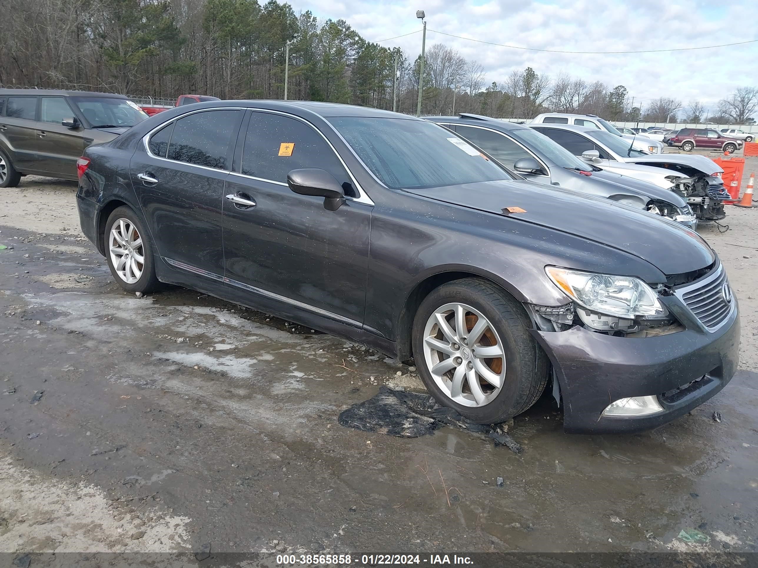 LEXUS LS 2008 jthbl46fx85068502