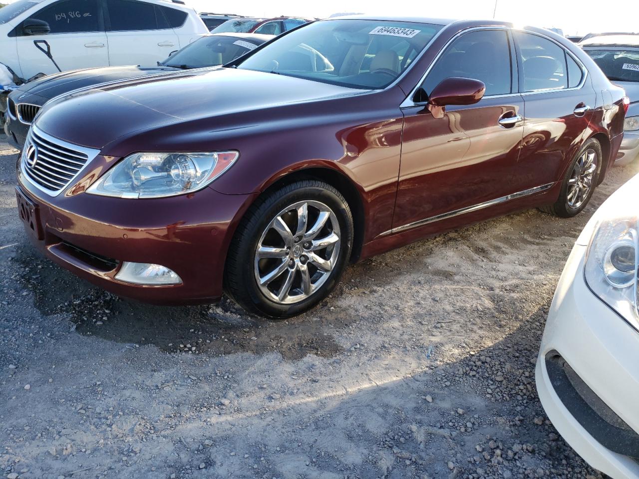 LEXUS LS 2009 jthbl46fx95089030