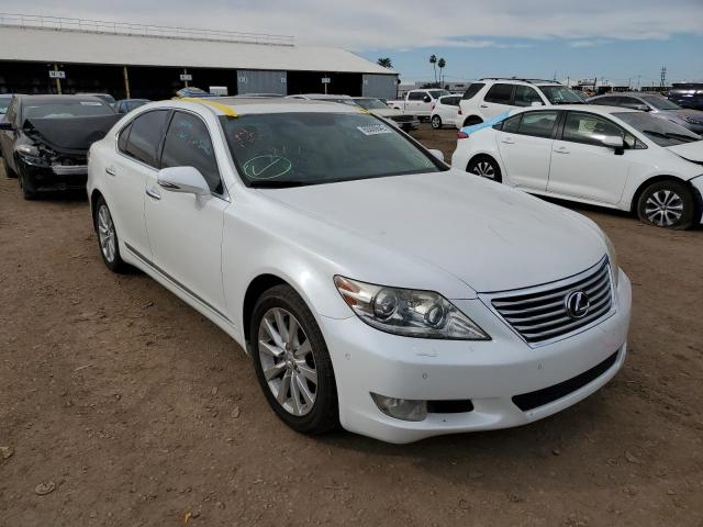 LEXUS LS 460 2010 jthbl5ef0a5095317