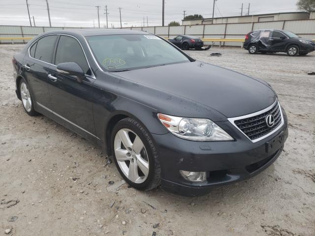 LEXUS LS 460 2010 jthbl5ef0a5101021