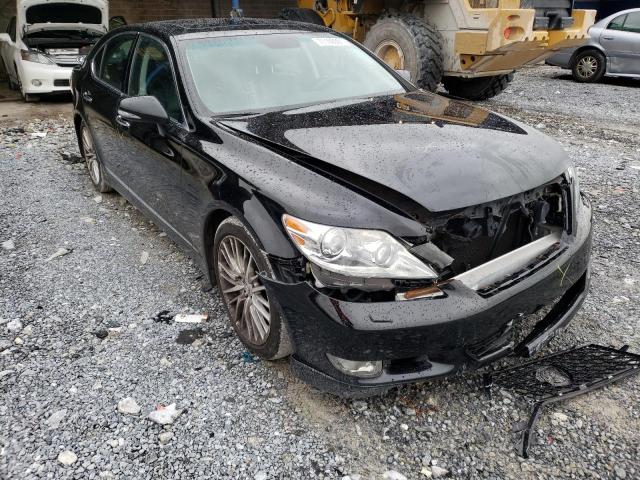 LEXUS LS 460 2011 jthbl5ef0b5102008