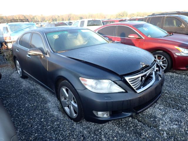 LEXUS LS 460 2010 jthbl5ef1a5100346