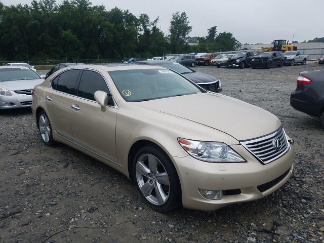 LEXUS LS 460 2011 jthbl5ef1b5102728