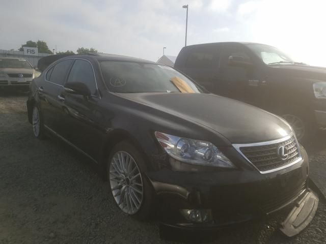 LEXUS LS 460 2011 jthbl5ef2b5104441