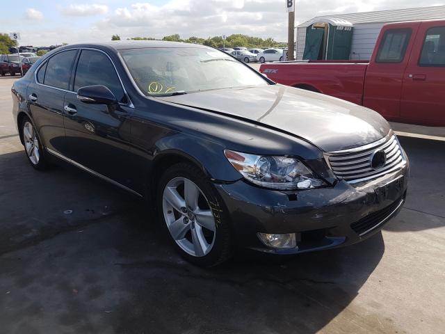 LEXUS LS 460 2011 jthbl5ef2b5104746