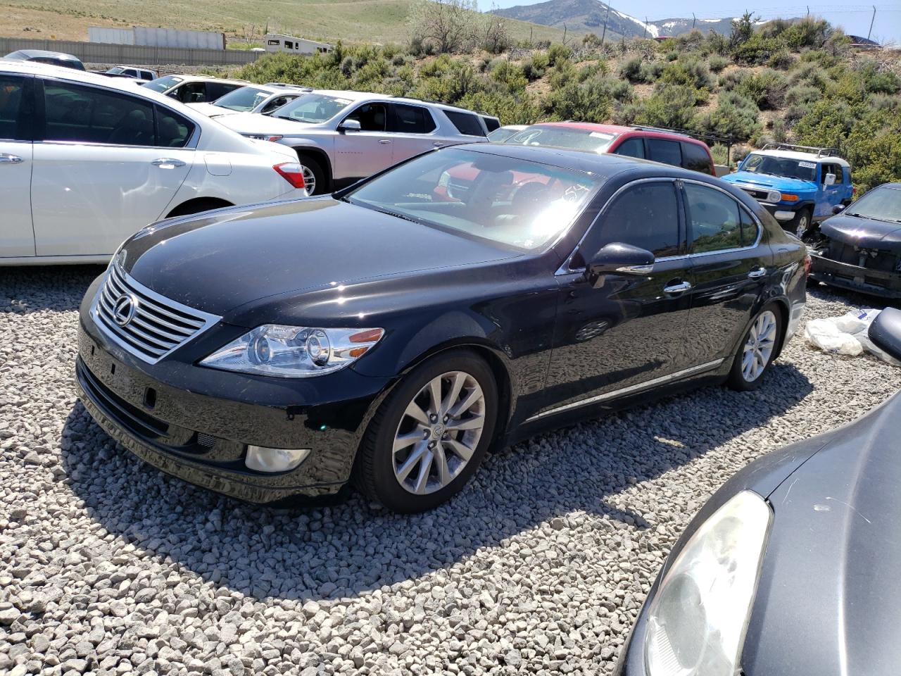 LEXUS LS 2011 jthbl5ef2b5105489