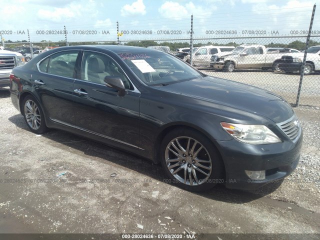 LEXUS LS 460 2010 jthbl5ef3a5096901