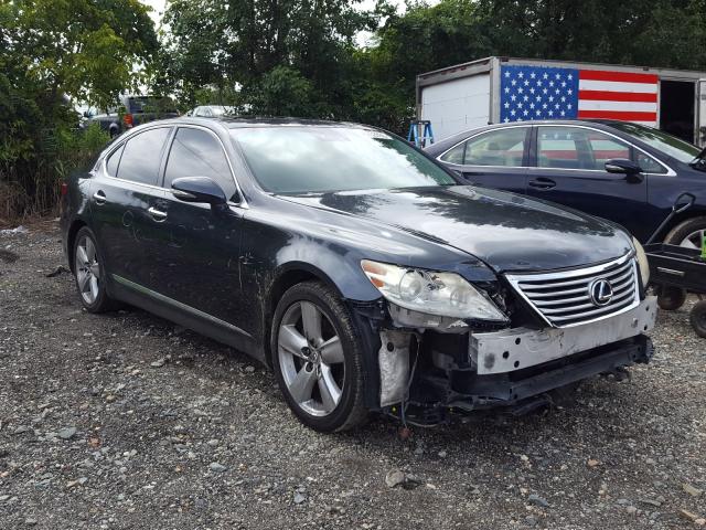 LEXUS LS 460 2010 jthbl5ef3a5097286