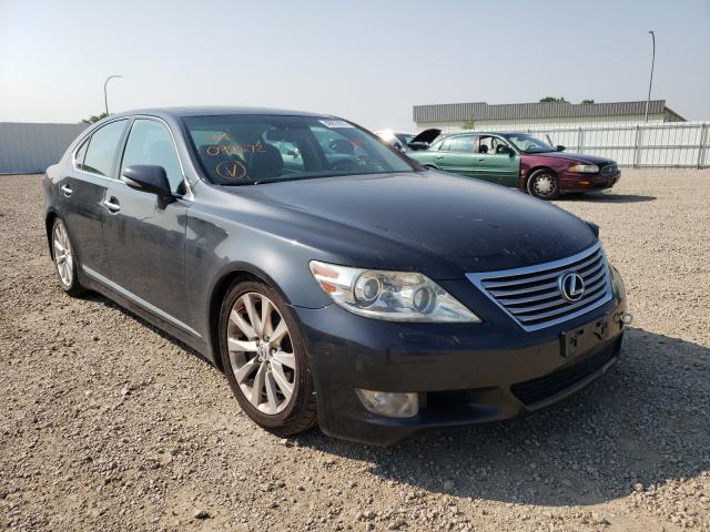 LEXUS LS 460 2010 jthbl5ef3a5099572