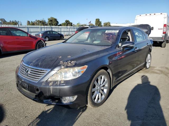 LEXUS LS460 2011 jthbl5ef3b5105050