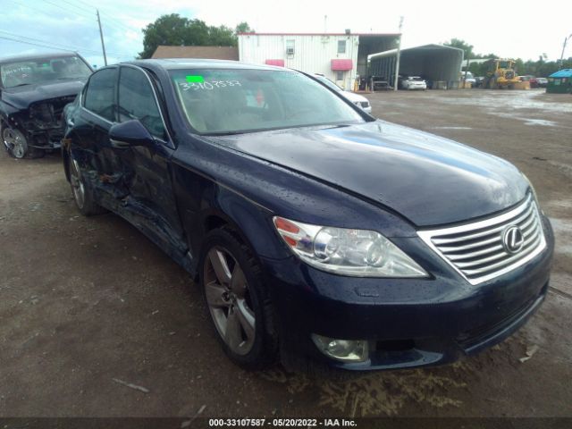 LEXUS LS 460 2010 jthbl5ef4a5098799