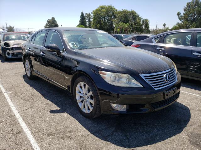 LEXUS LS 460 2010 jthbl5ef4a5101152