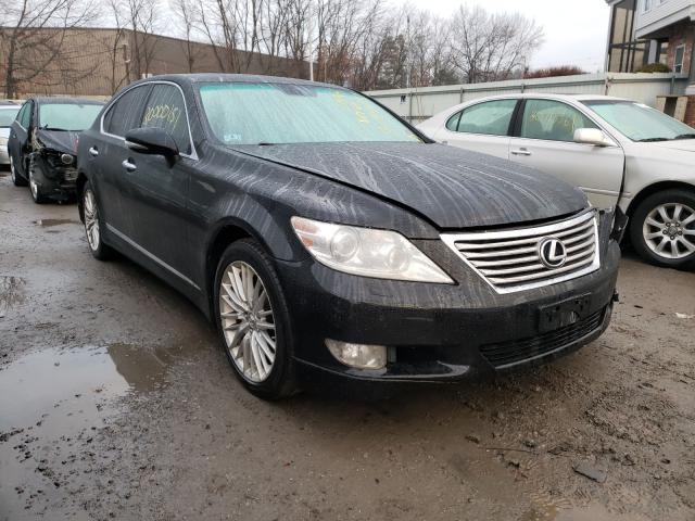 LEXUS LS 460 2010 jthbl5ef4a5101555