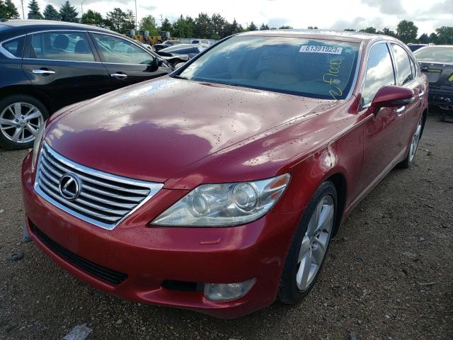 LEXUS LS460 2011 jthbl5ef4b5101959