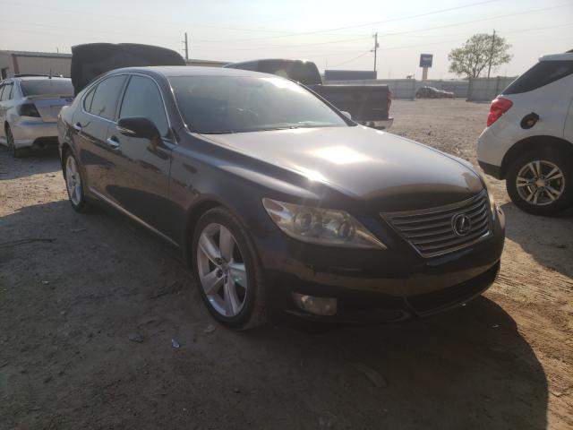 LEXUS LS 460 2011 jthbl5ef4b5104909