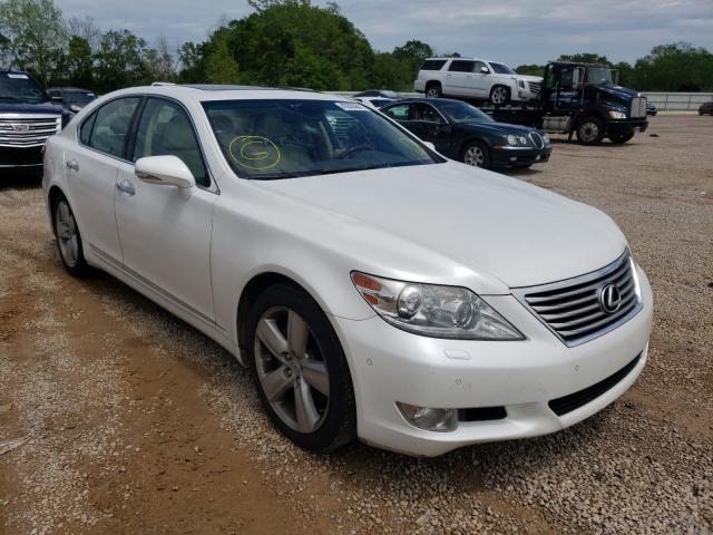 LEXUS LS 460 2012 jthbl5ef4c5113112