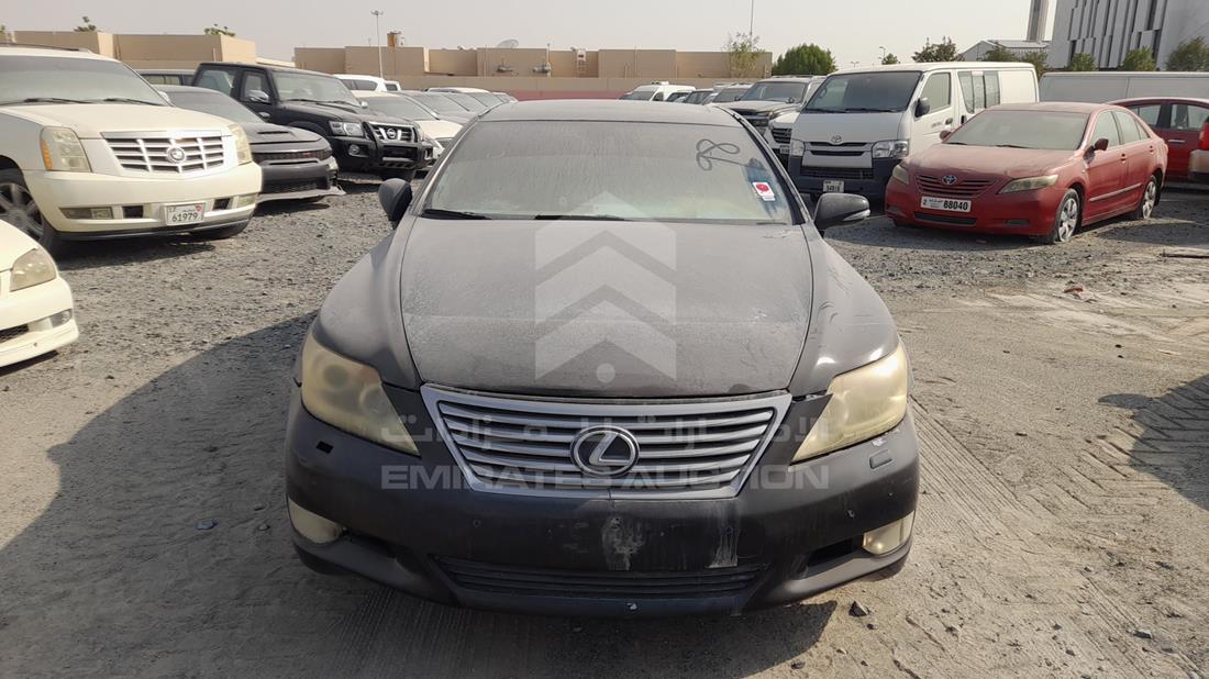 LEXUS LS 460 2010 jthbl5ef5a5094616