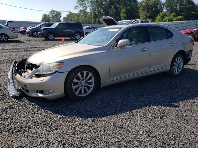 LEXUS LS 460 2010 jthbl5ef5a5100804