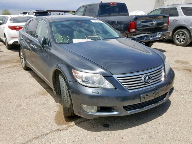 LEXUS LS 460 2010 jthbl5ef6a5093748