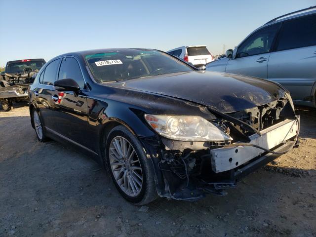 LEXUS LS 460 2010 jthbl5ef6a5095113