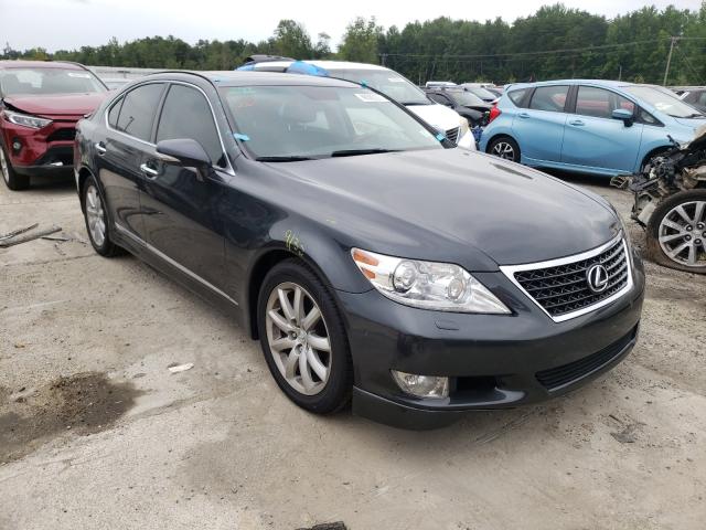 LEXUS LS 460 2010 jthbl5ef6a5097038