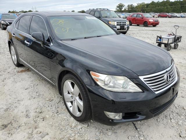 LEXUS LS 460 2012 jthbl5ef6c5113516