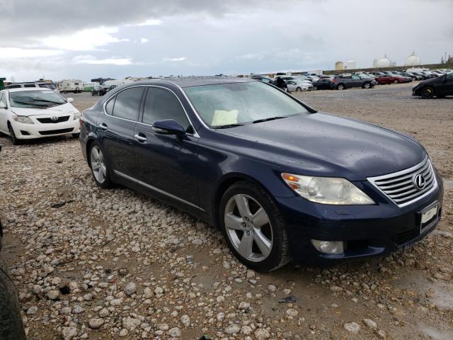 LEXUS LS 460 2010 jthbl5ef7a5093161