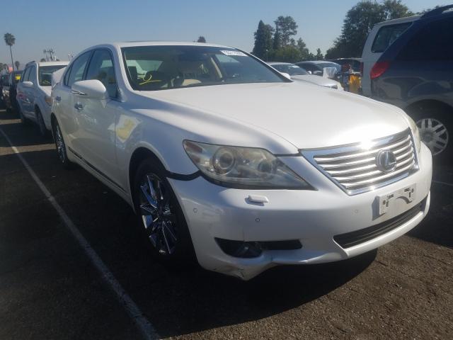 LEXUS LS 460 2011 jthbl5ef7b5106427