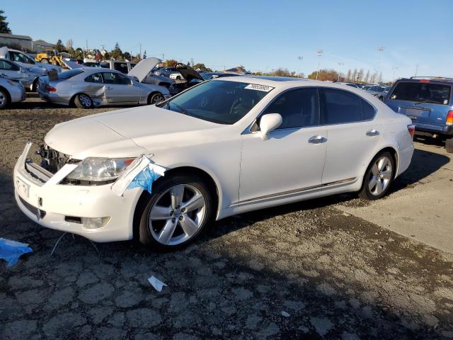 LEXUS LS460 2012 jthbl5ef7c5113119