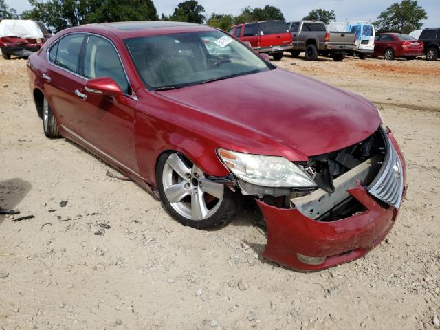 LEXUS LS 460 2010 jthbl5ef8a5097042