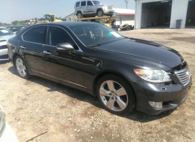 LEXUS LS 460 2010 jthbl5ef8a5099356