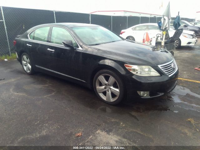 LEXUS LS 460 2010 jthbl5ef9a5092545