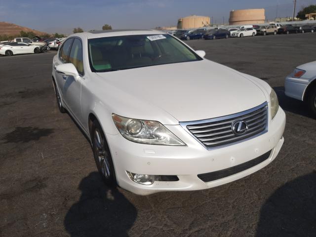 LEXUS LS 460 2010 jthbl5ef9a5094327