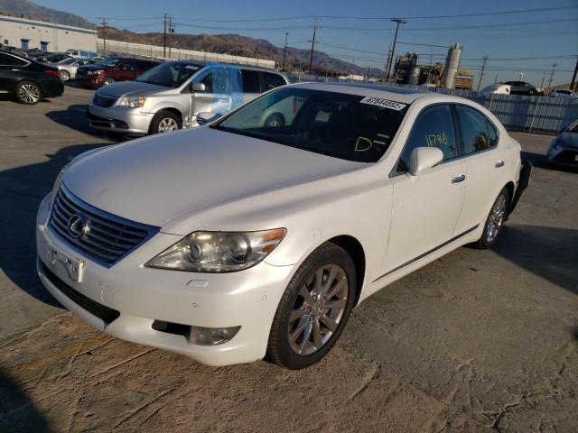 LEXUS LS 460 2010 jthbl5ef9a5094358