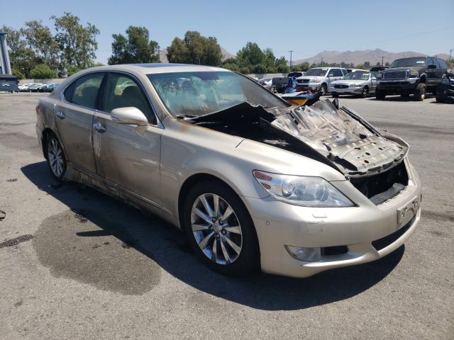 LEXUS LS 460 2010 jthbl5ef9a5095526