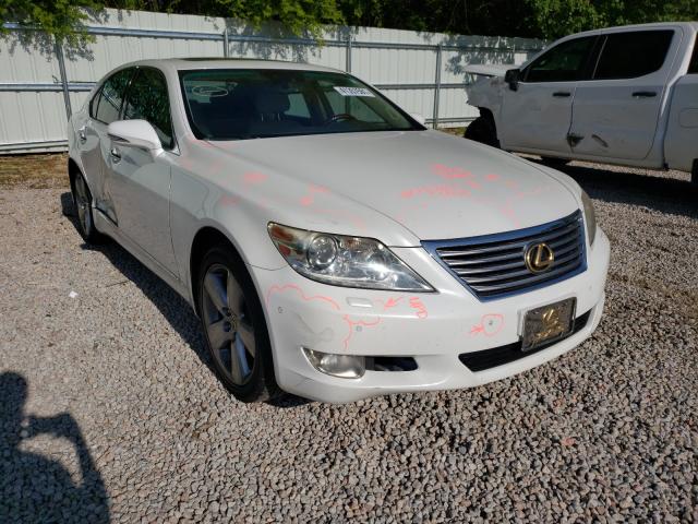 LEXUS LS 460 2010 jthbl5ef9a5097227