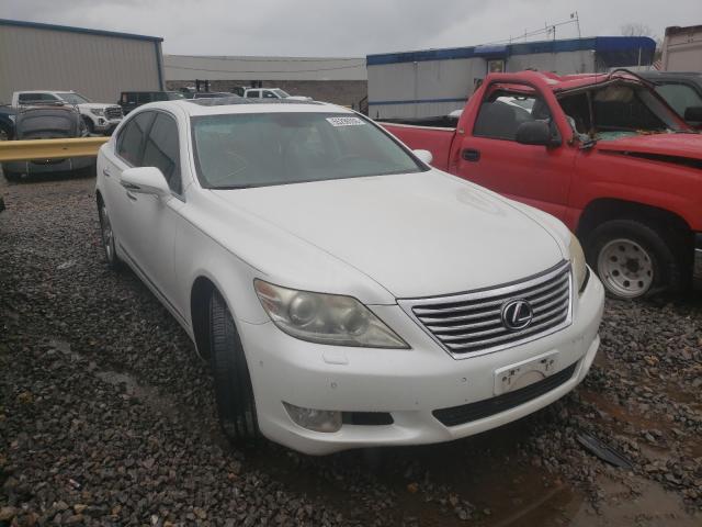 LEXUS LS 460 2011 jthbl5ef9b5103187