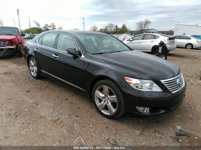 LEXUS LS 460 2010 jthbl5efxa5092537