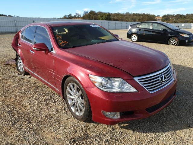 LEXUS LS 460 2010 jthbl5efxa5094854