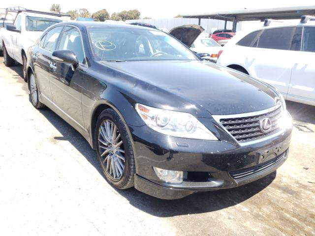 LEXUS LS 460 2010 jthbl5efxa5096975