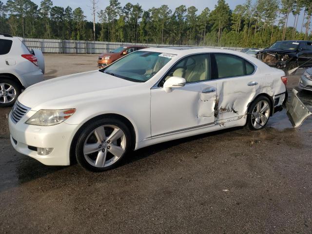 LEXUS LS 460 2010 jthbl5efxa5100944